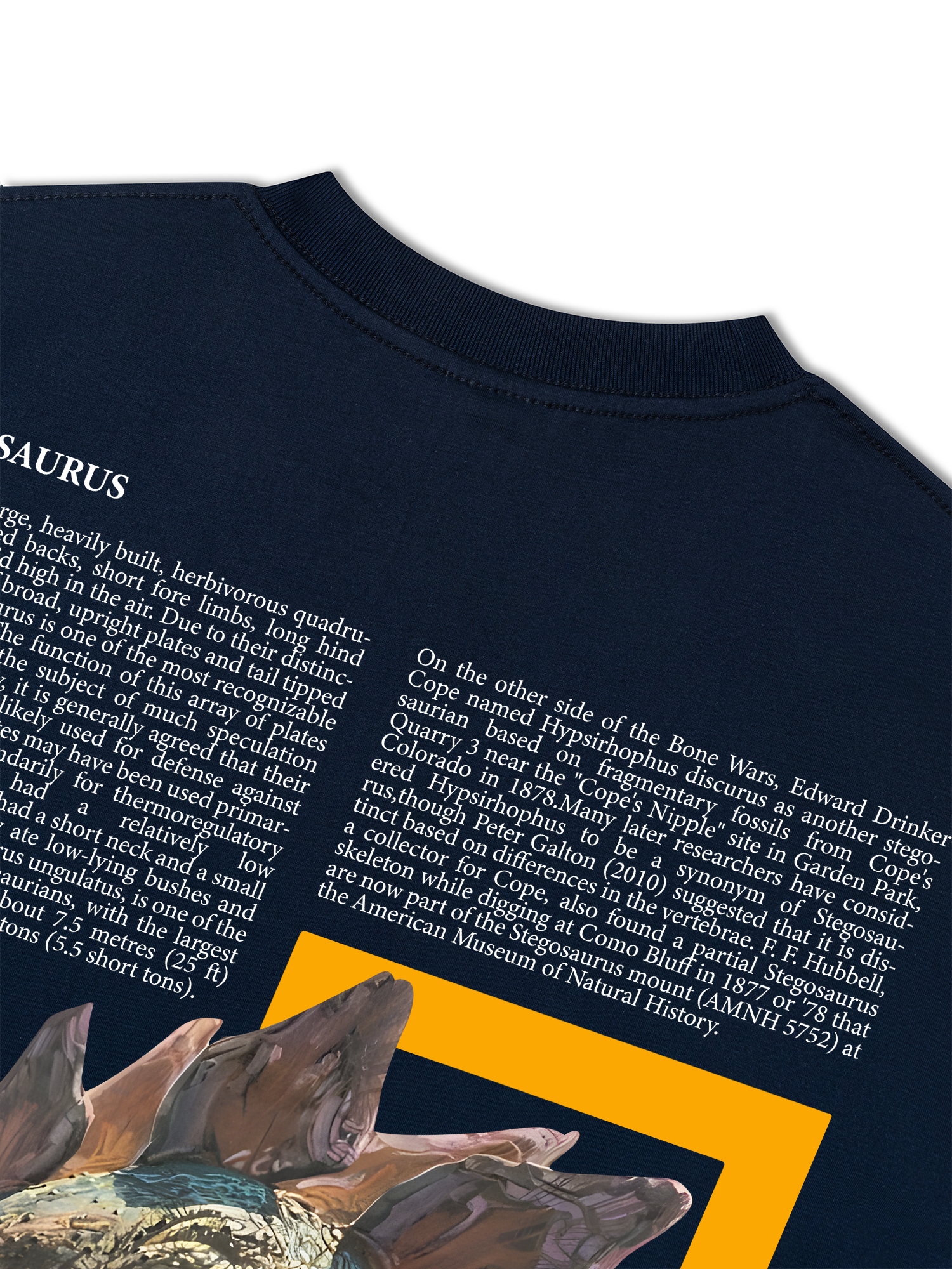 Áo Thun Relaxed Fit Wild Life Stegosaurus