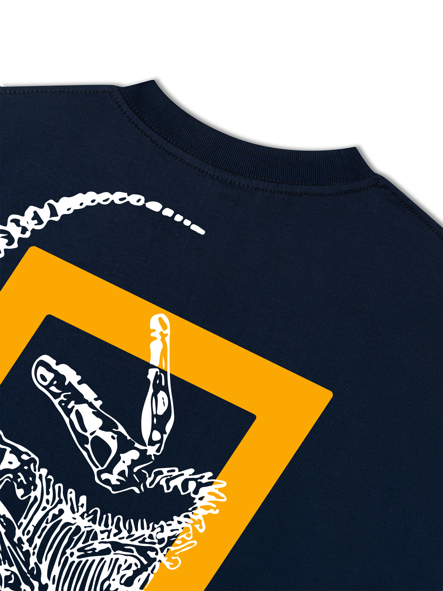 Áo Thun Relaxed Fit Wild Life The Fossil Raptor