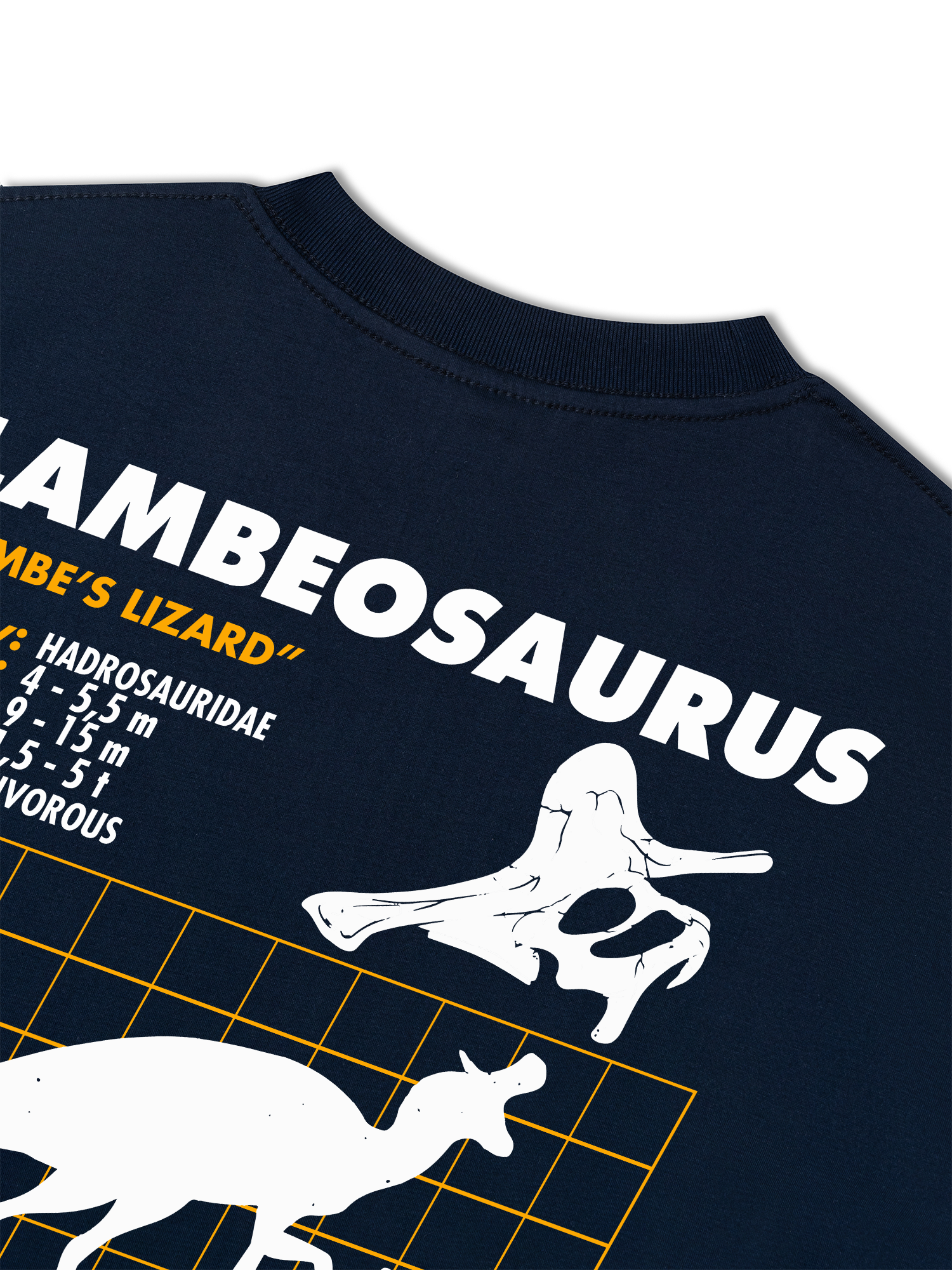 Áo Thun Relaxed Fit Analysis Table Lambeosaurus