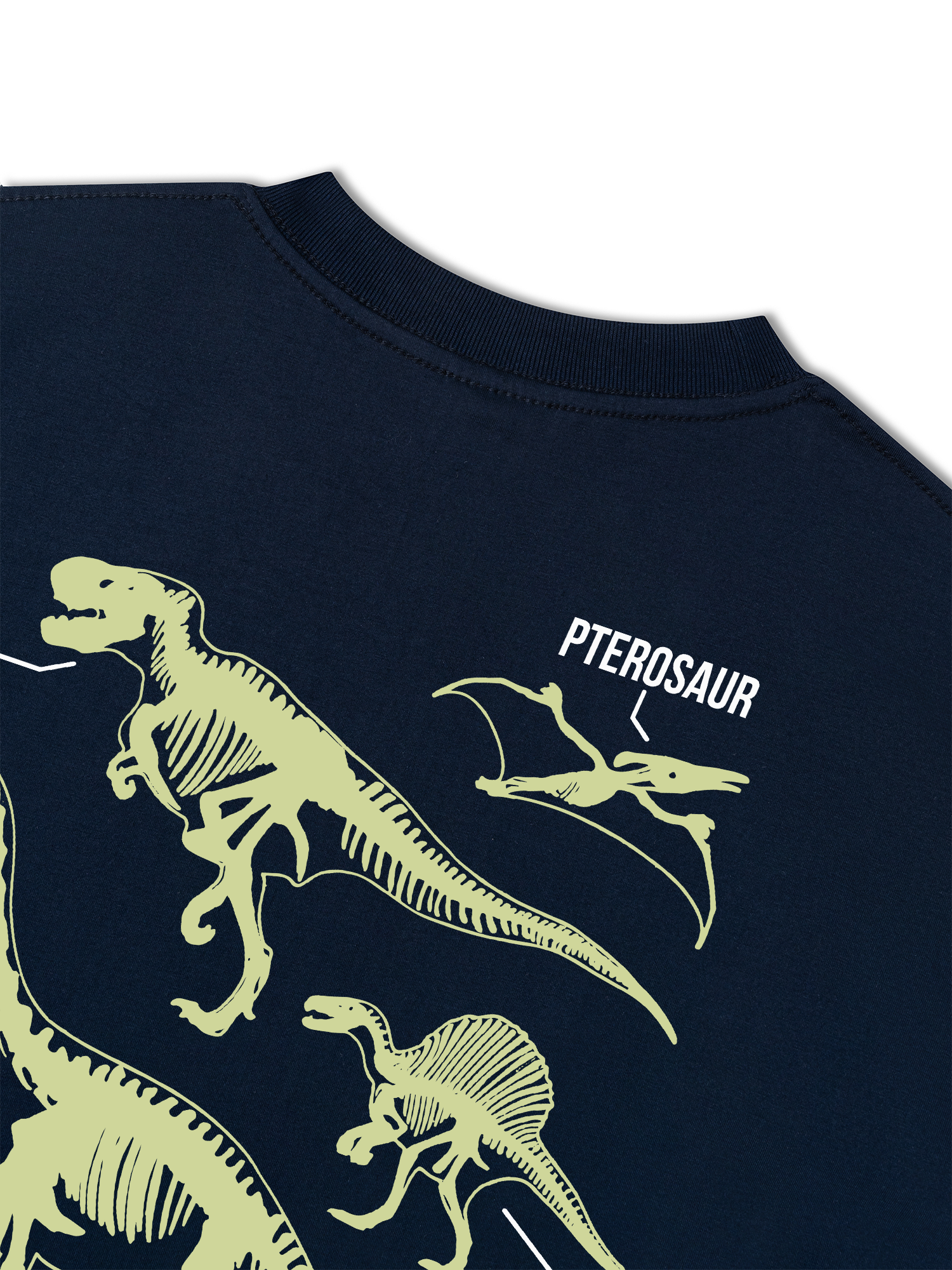 Áo Thun Relaxed Fit World Of Dino