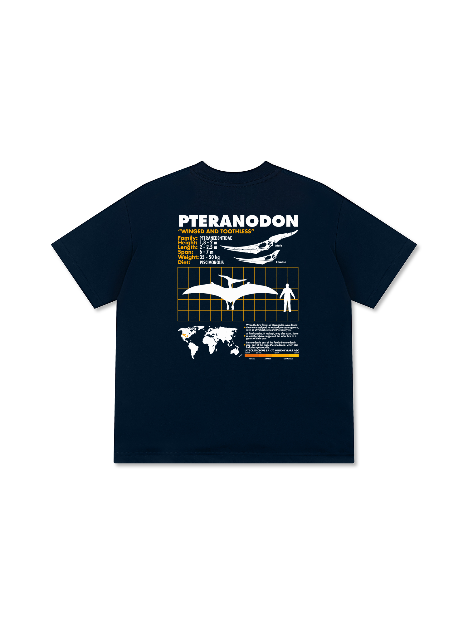 Áo Thun Relaxed Fit Analysis Table Pteranodon