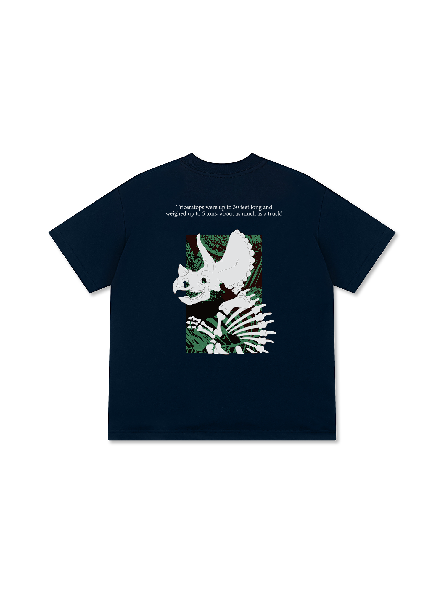 Áo Thun Relaxed Fit Triceratops