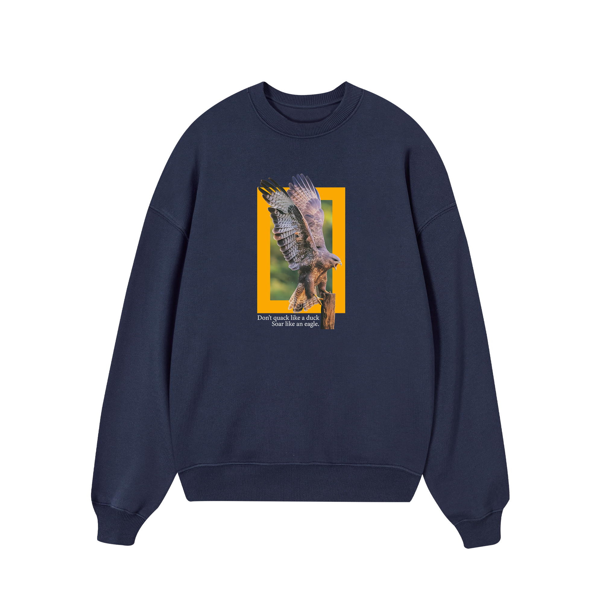 National Geographic Soar Like An Eagle Sweater