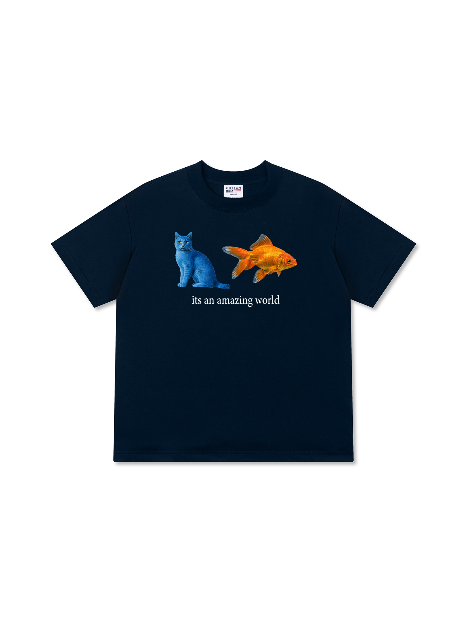 Áo Thun Relaxed Fit Its An Amazing World