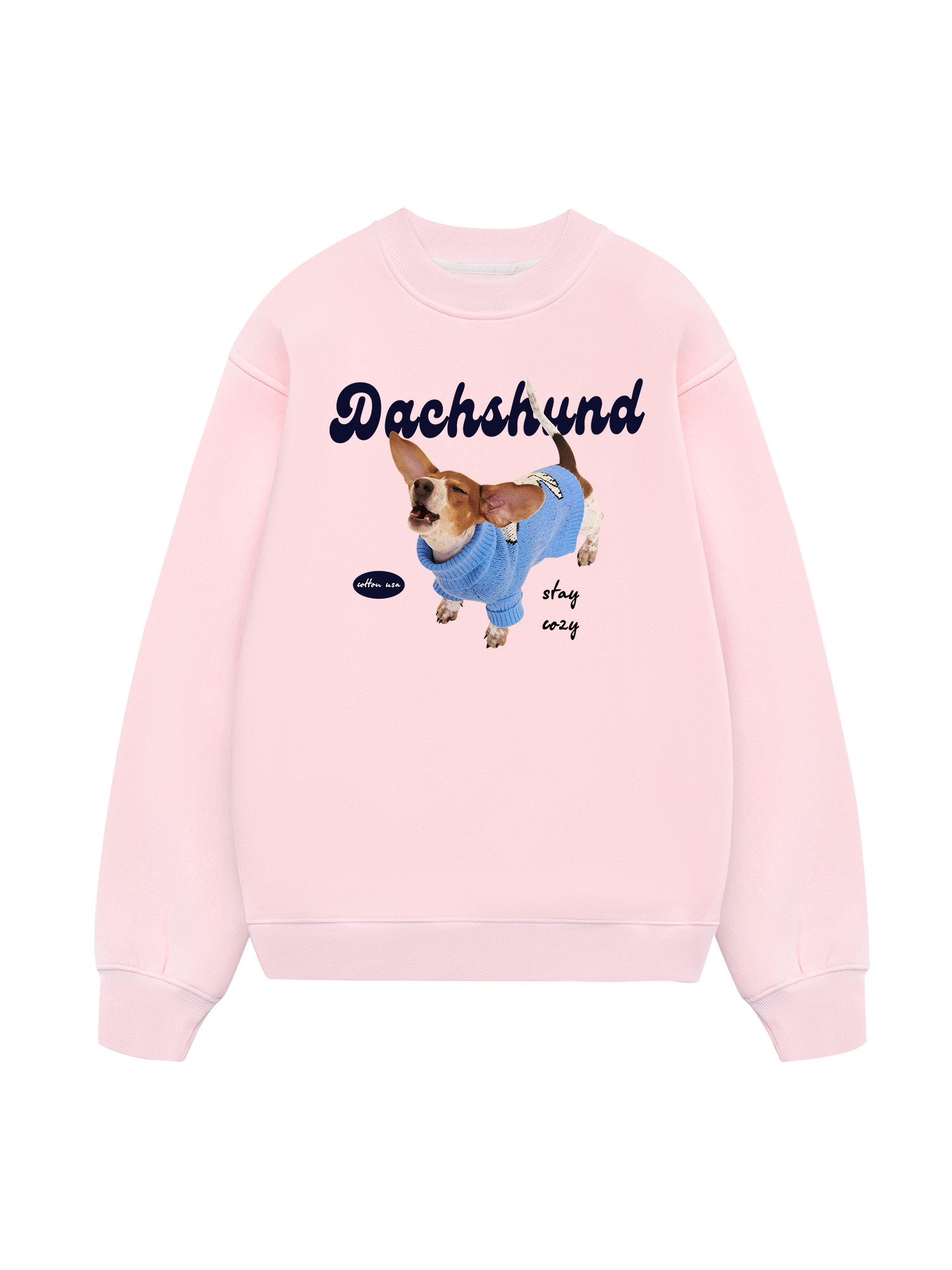 Dachshund Stay Cozy  Sweater