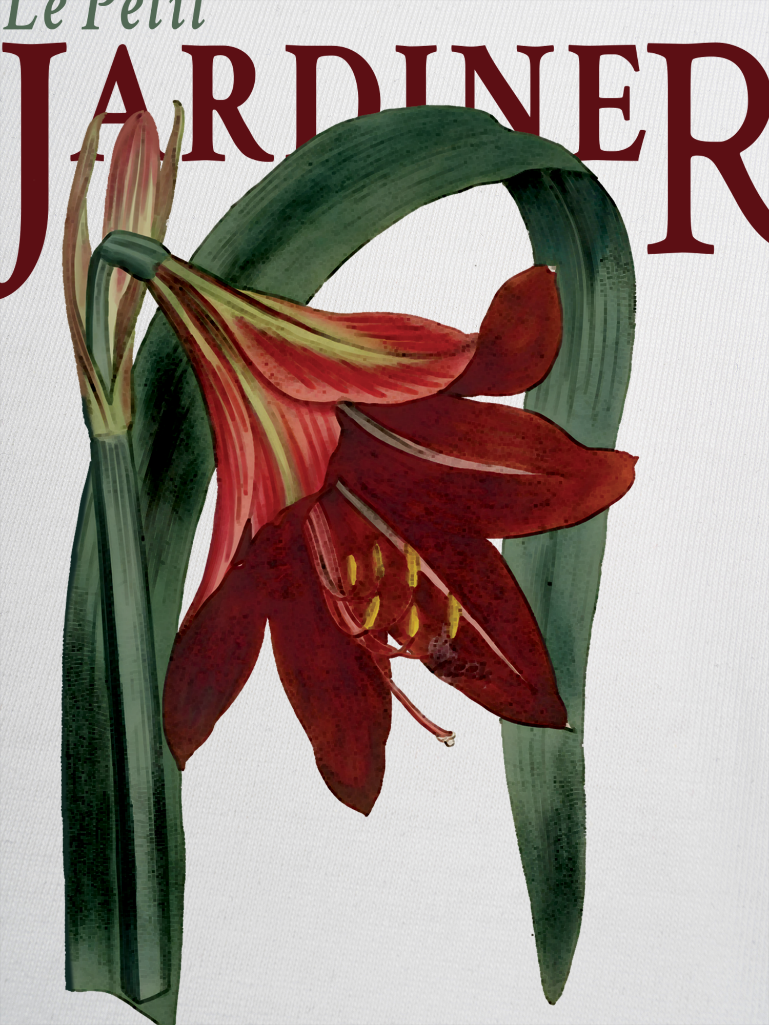 Áo Thun Ringer Relaxed Fit Le Petit Jardiner