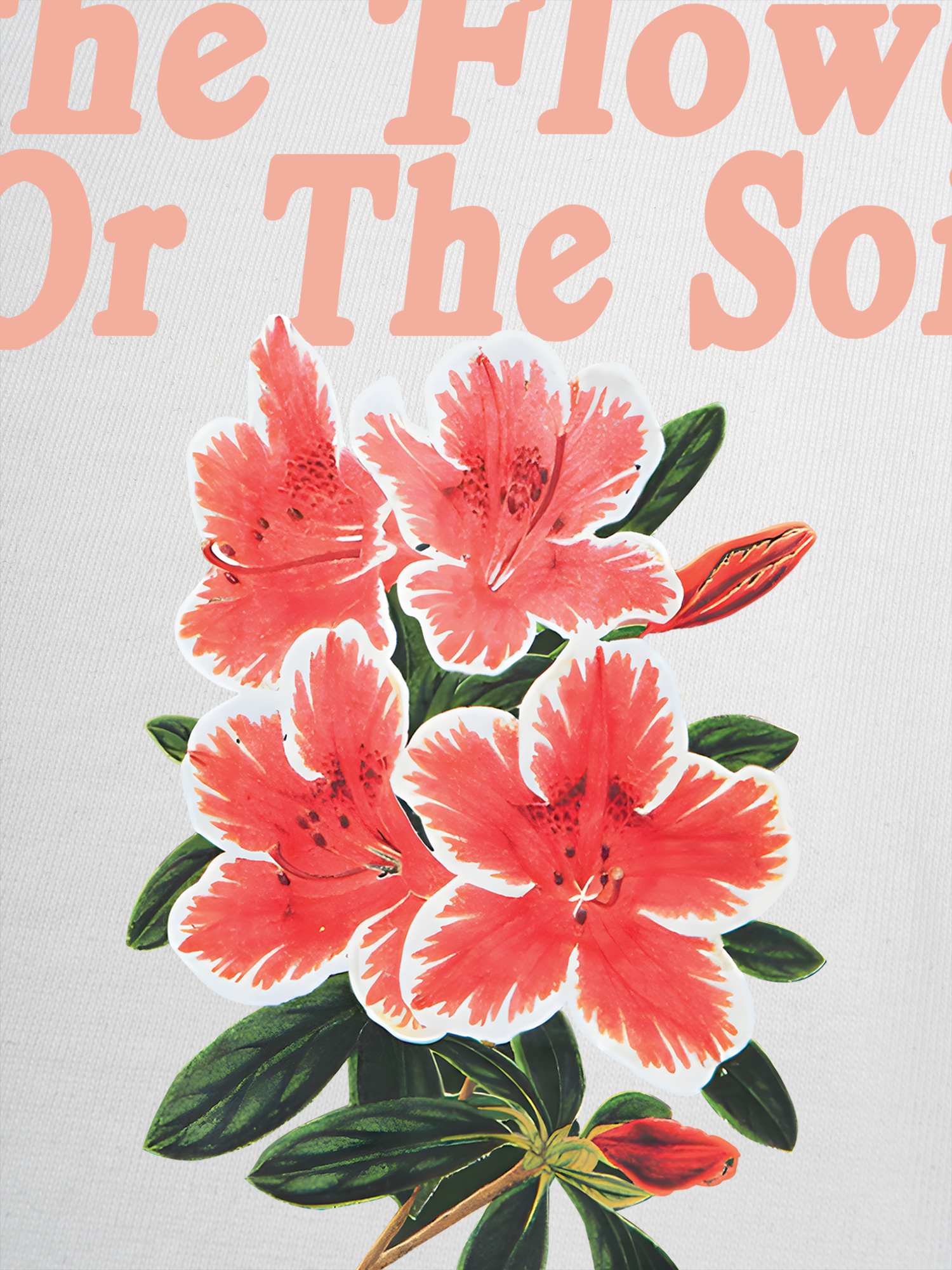 Áo Thun Ringer Relaxed Fit Floral The Soil