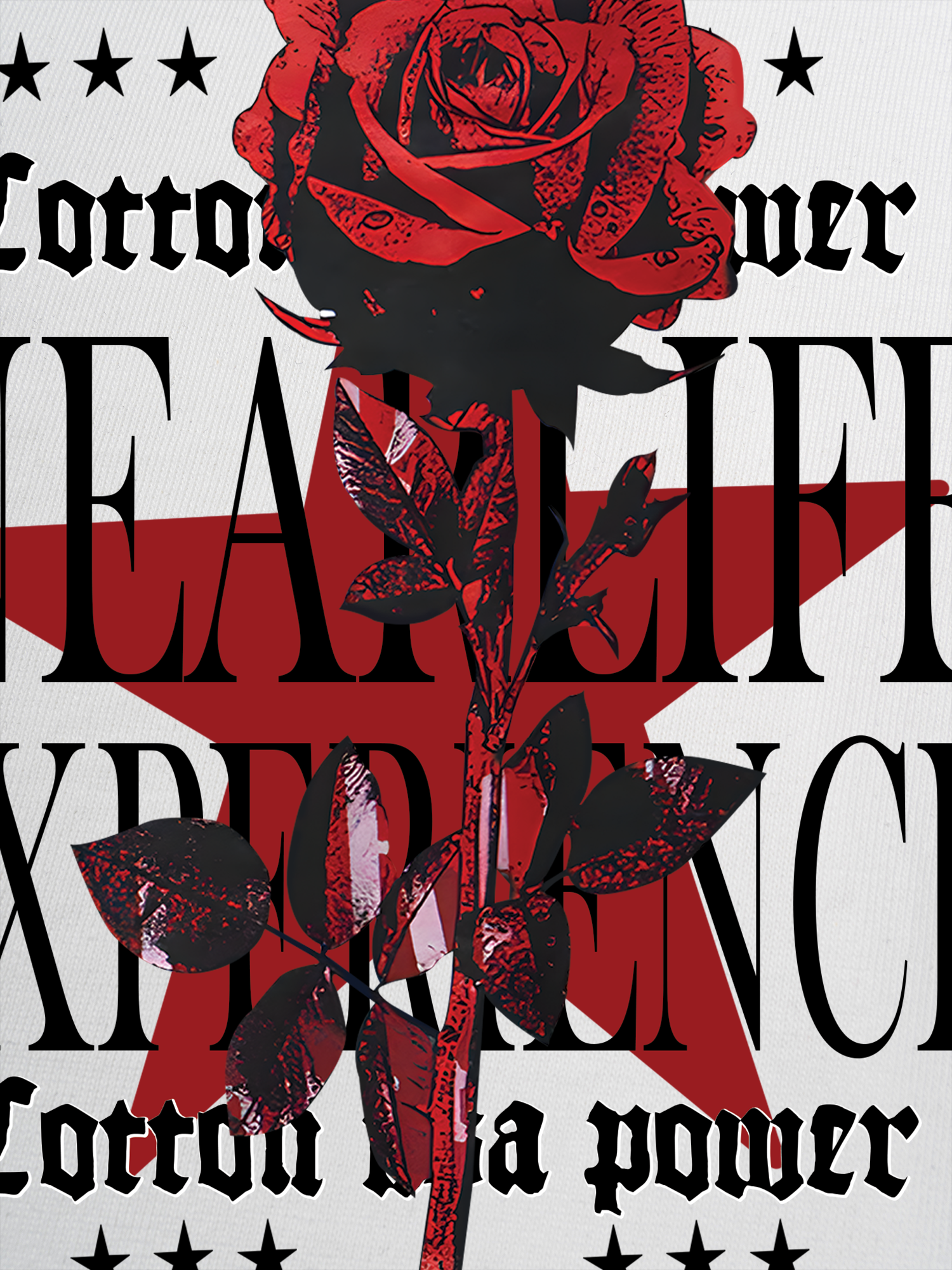 Áo Thun Ringer Relaxed Fit Floral Rose Flower