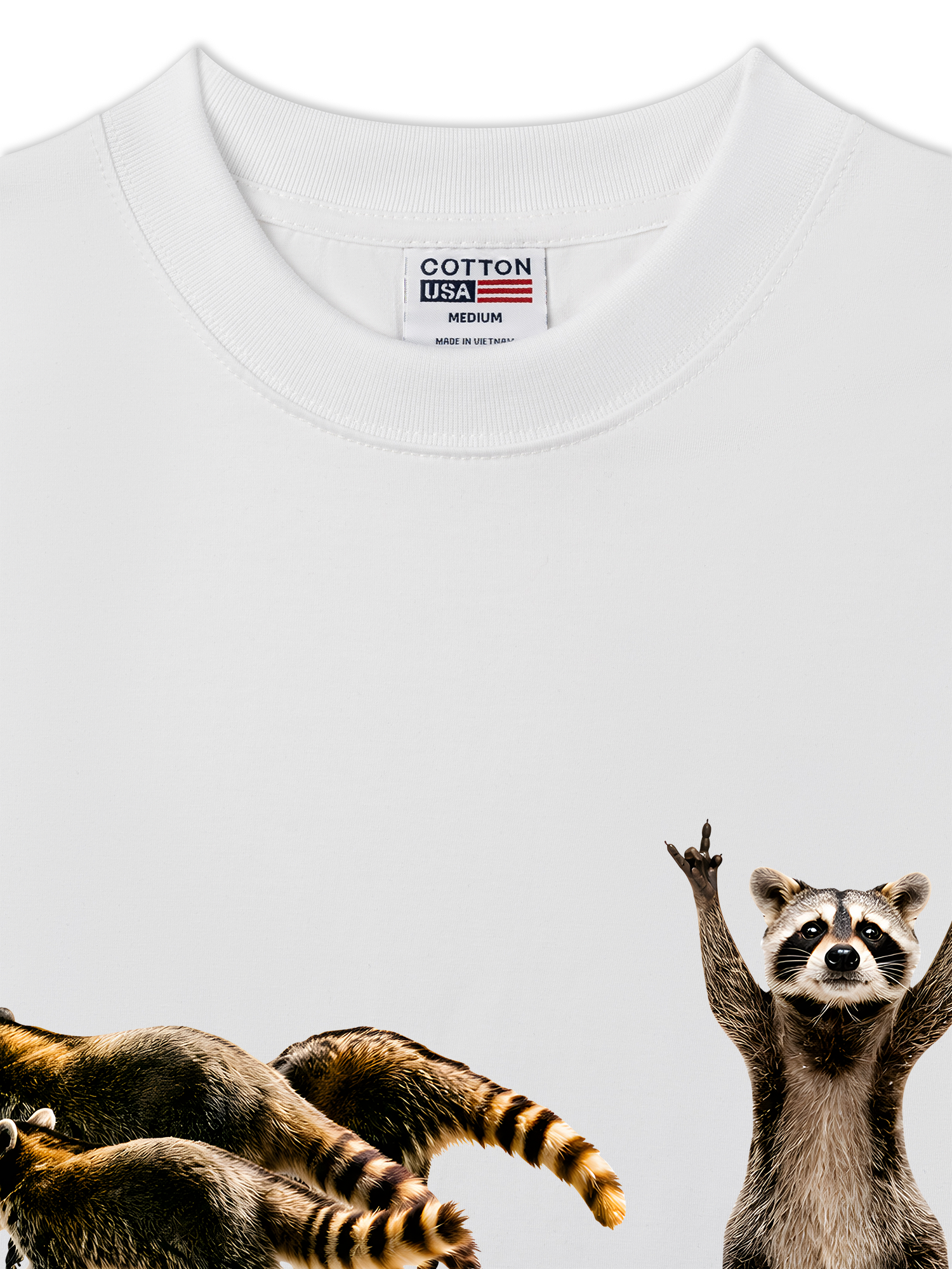 Áo Thun Relaxed Fit I Just Gotta Be Me Raccoon