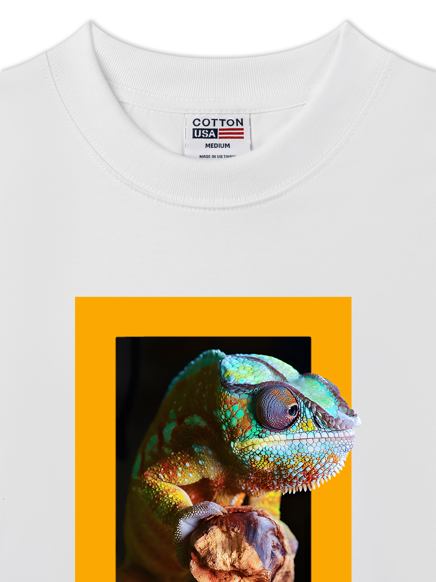 Áo Thun Relaxed Fit Wild Life Wild Pastures