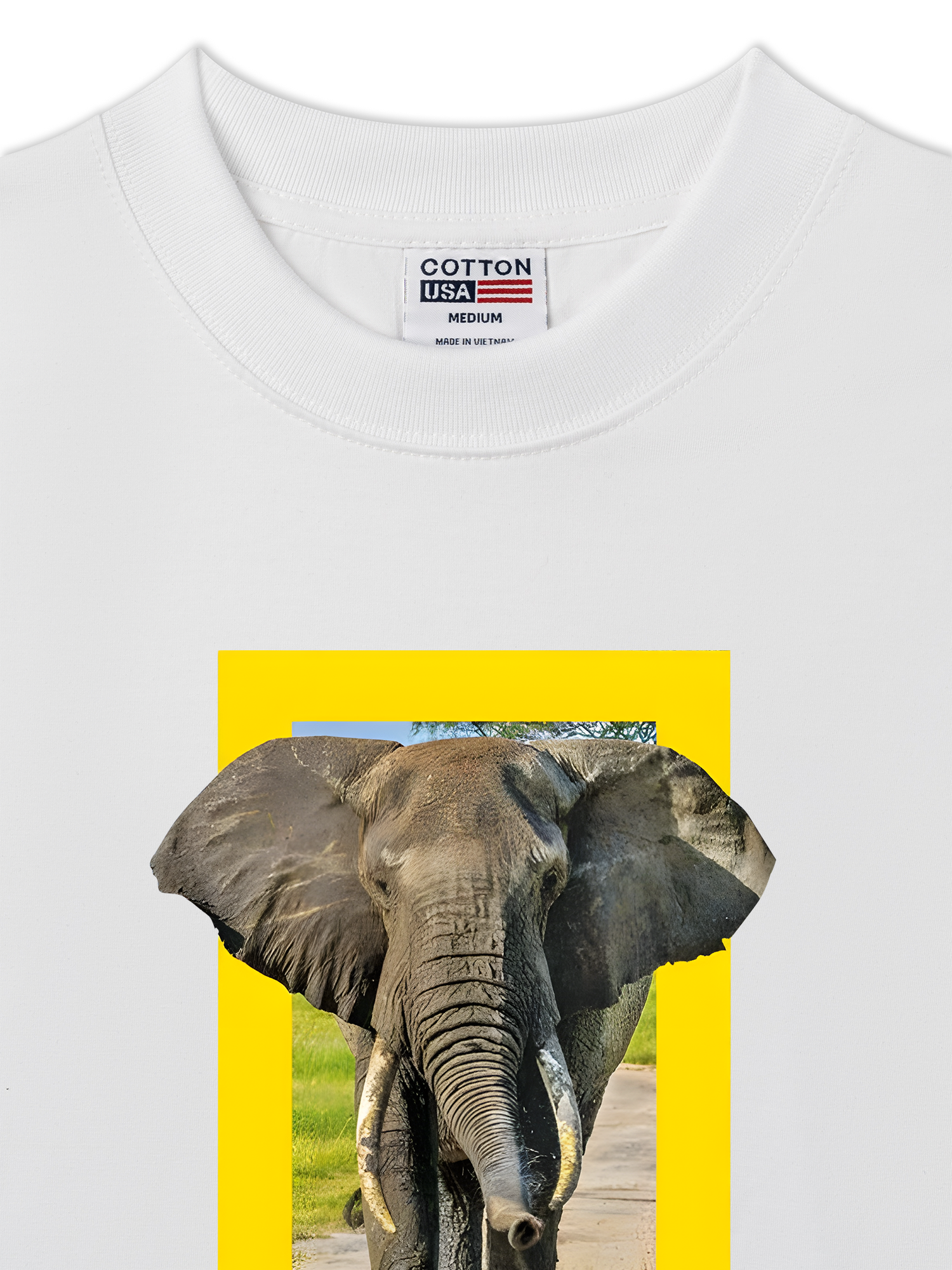 Áo Thun Relaxed Fit Wild Life Nature's Great