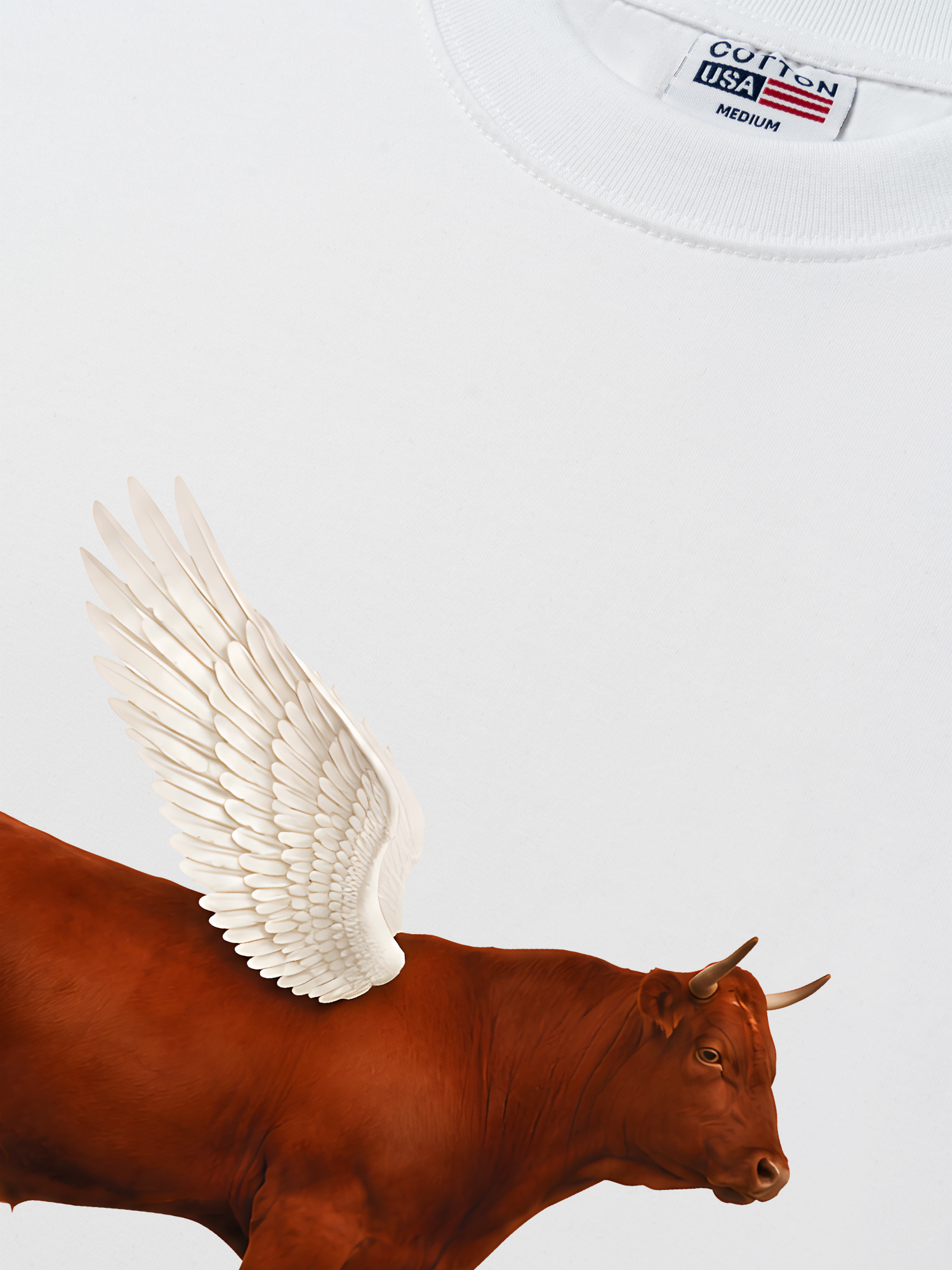 Áo Thun Relaxed Fit Find Your Wings