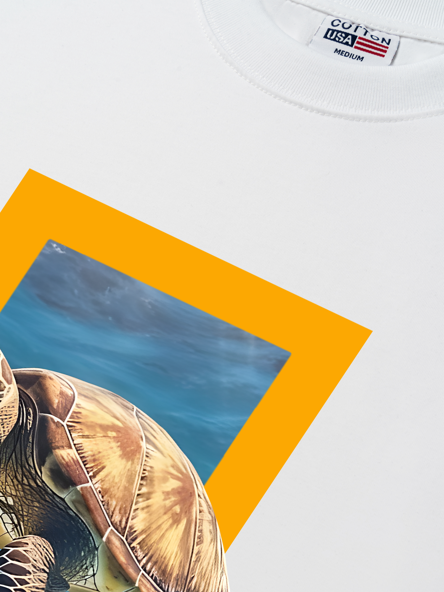 Áo Thun Relaxed Fit Wild Life Sea Turtles Remind