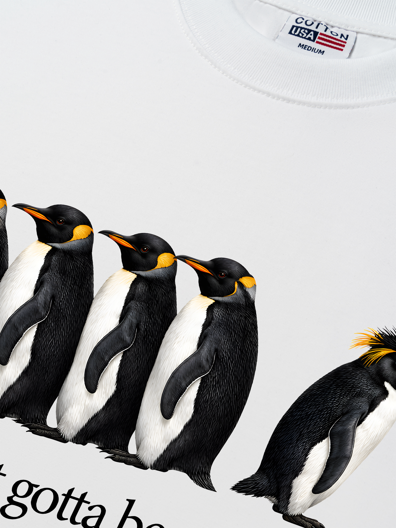 Áo Thun Relaxed Fit I Just Gotta Be Me Penguin