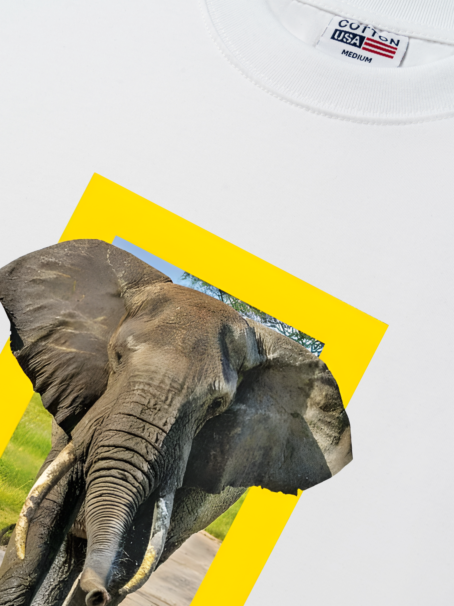 Áo Thun Relaxed Fit Wild Life Nature's Great