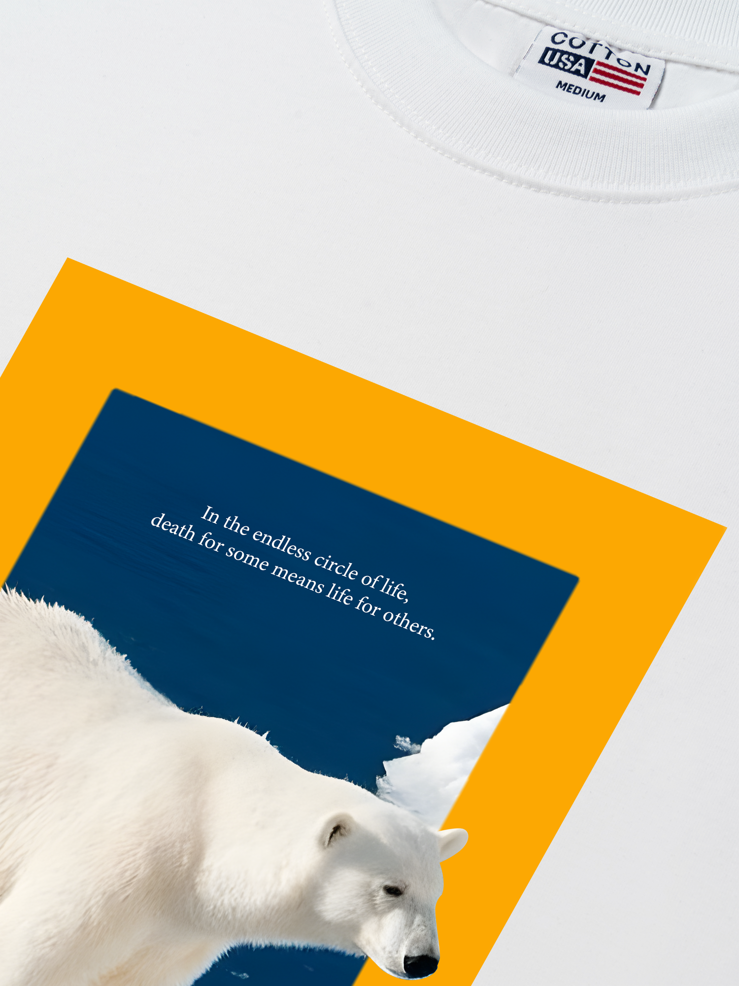 Áo Thun Relaxed Fit Wild Life Polar On Giant Ice