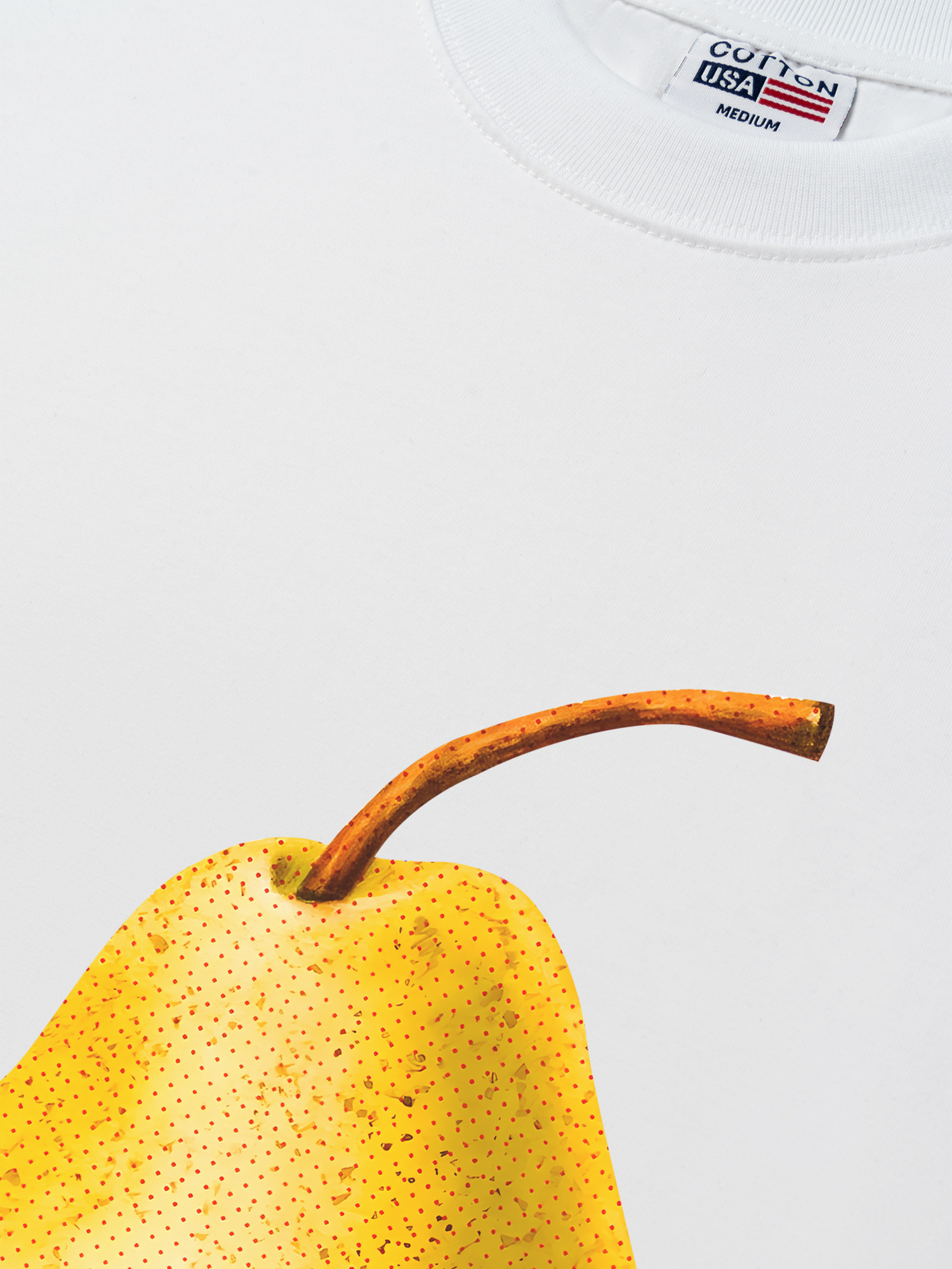 Áo Thun Relaxed Fit Tropical Pear Retro