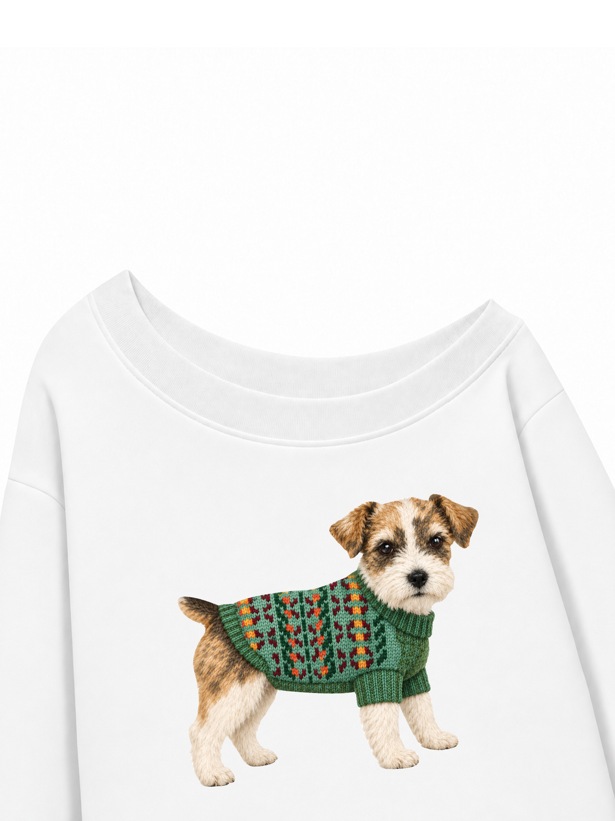 Áo Sweater Lệch Vai Nỉ Hai Da Little Buddy