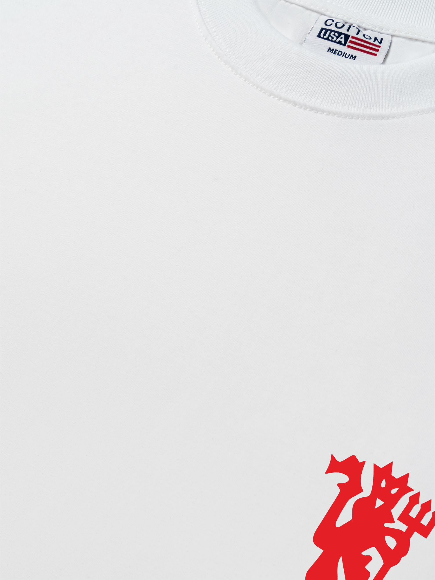 Áo Thun Relaxed Fit Soccer The Red Devils