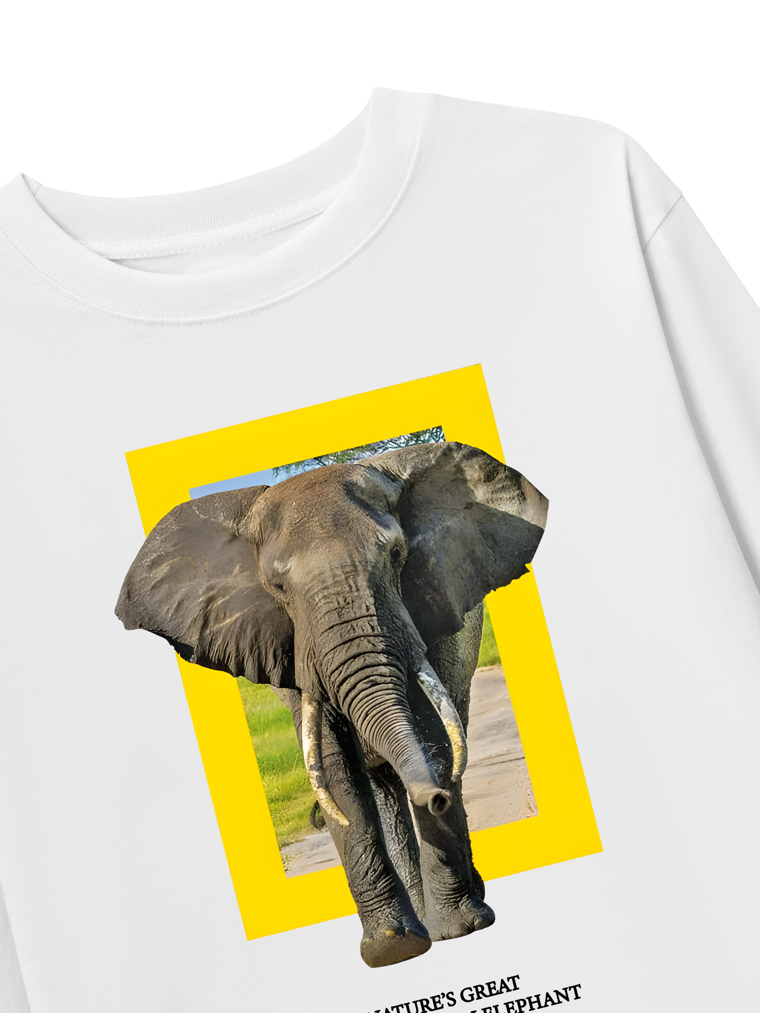 Áo Thun Dài Tay Wild Life Nature's Great