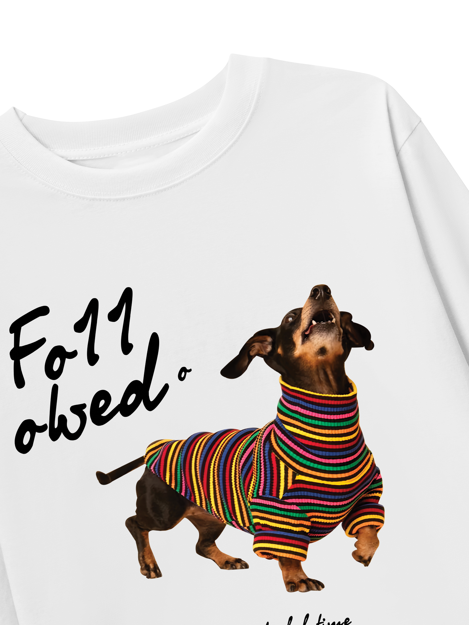 Áo Thun Dài Tay Rainbow Sweater With Dog