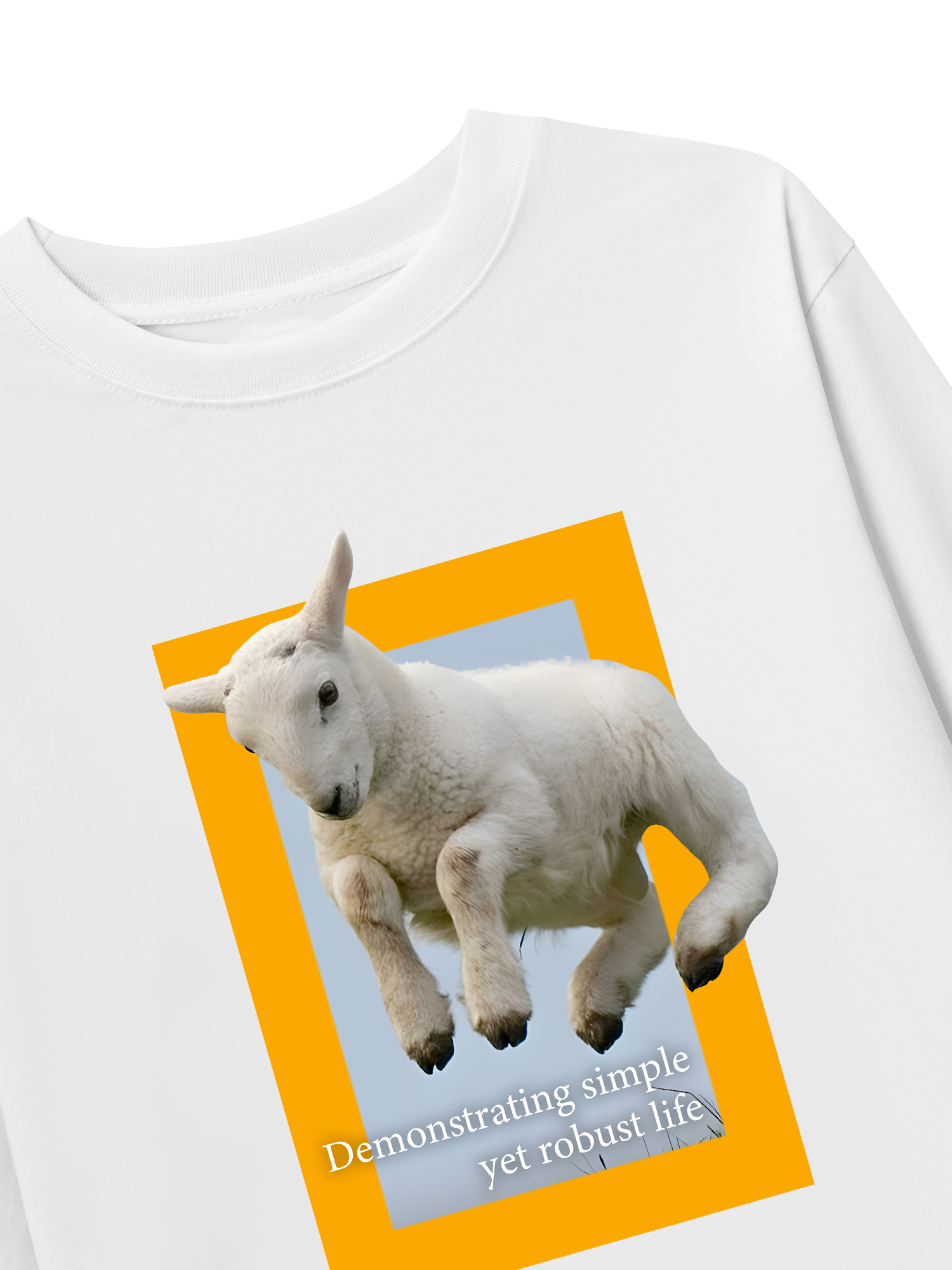 Áo Thun Dài Tay Wild Life Demonstrating Simple