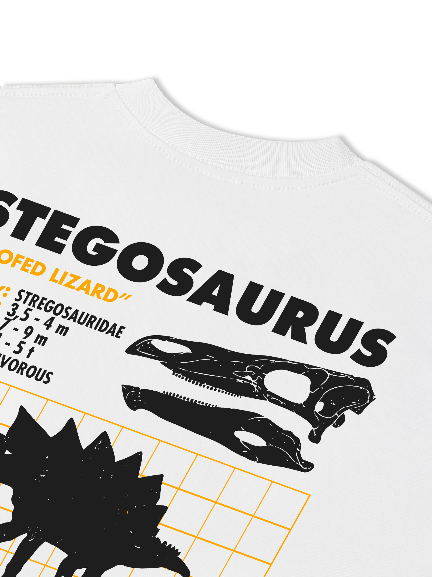 Áo Thun Relaxed Fit Analysis Table Stegosaurus