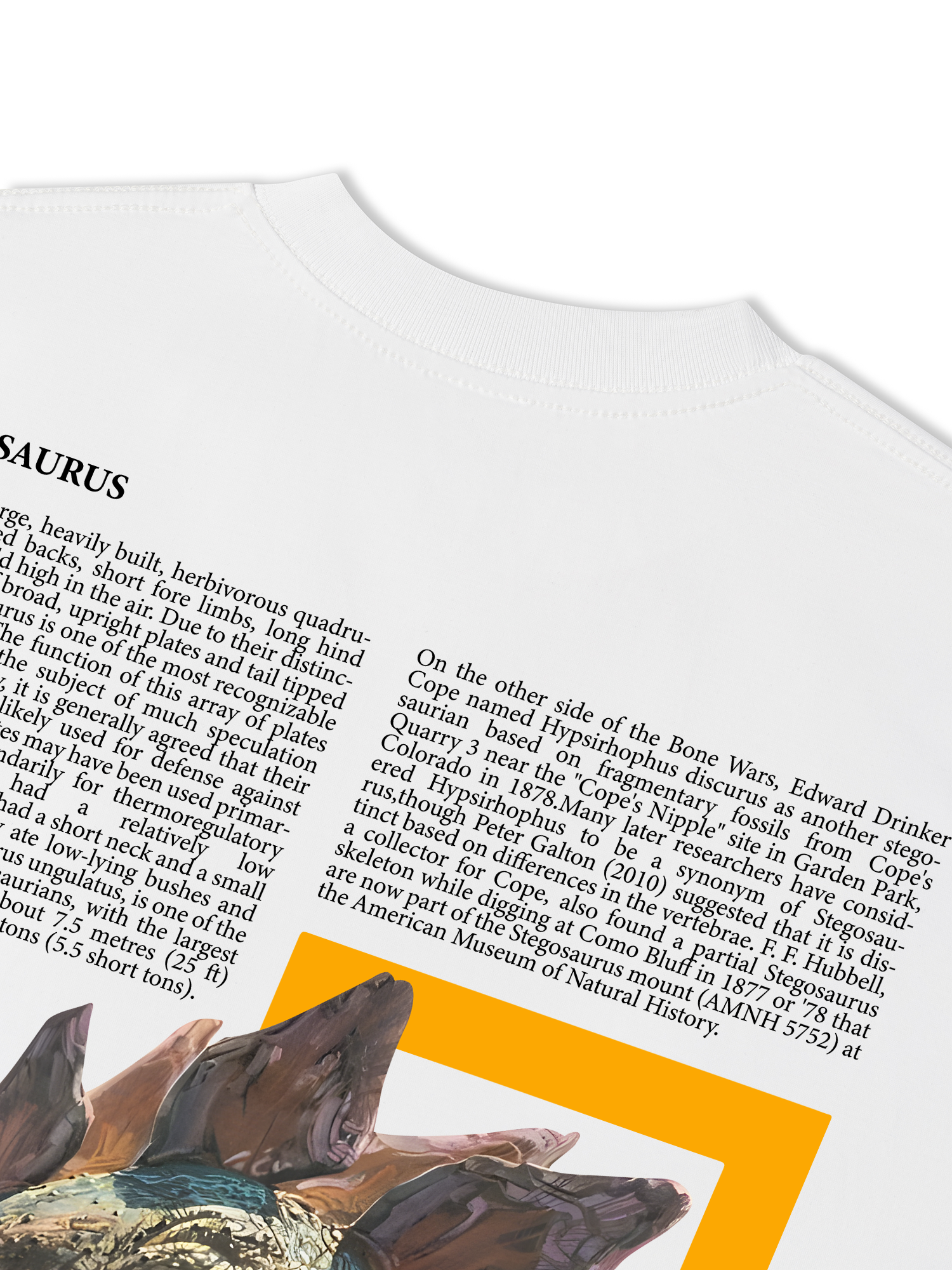 Áo Thun Relaxed Fit Wild Life Stegosaurus