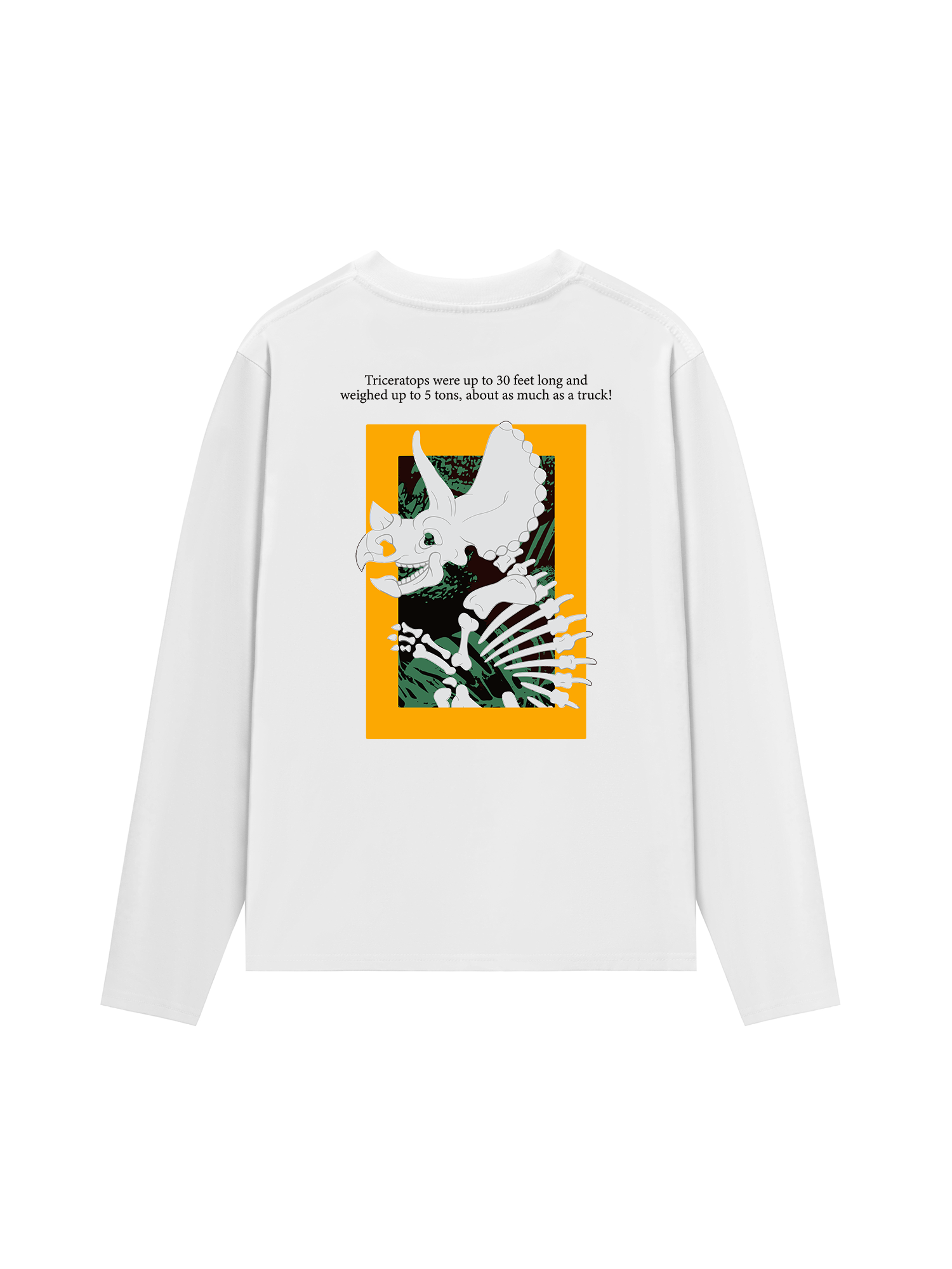 Áo Thun Dài Tay Wild Life Triceratops
