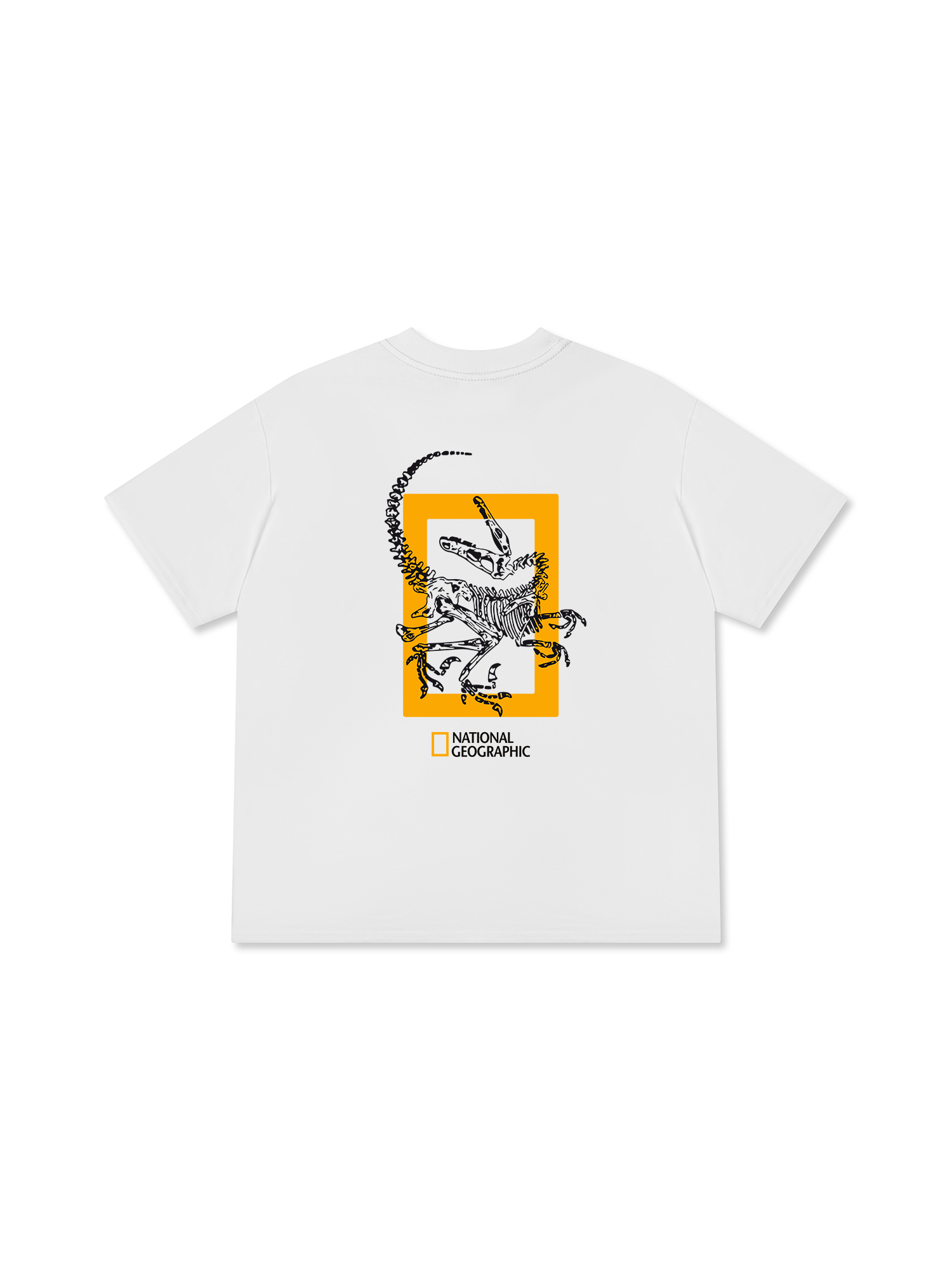 Áo Thun Relaxed Fit Wild Life The Fossil Raptor