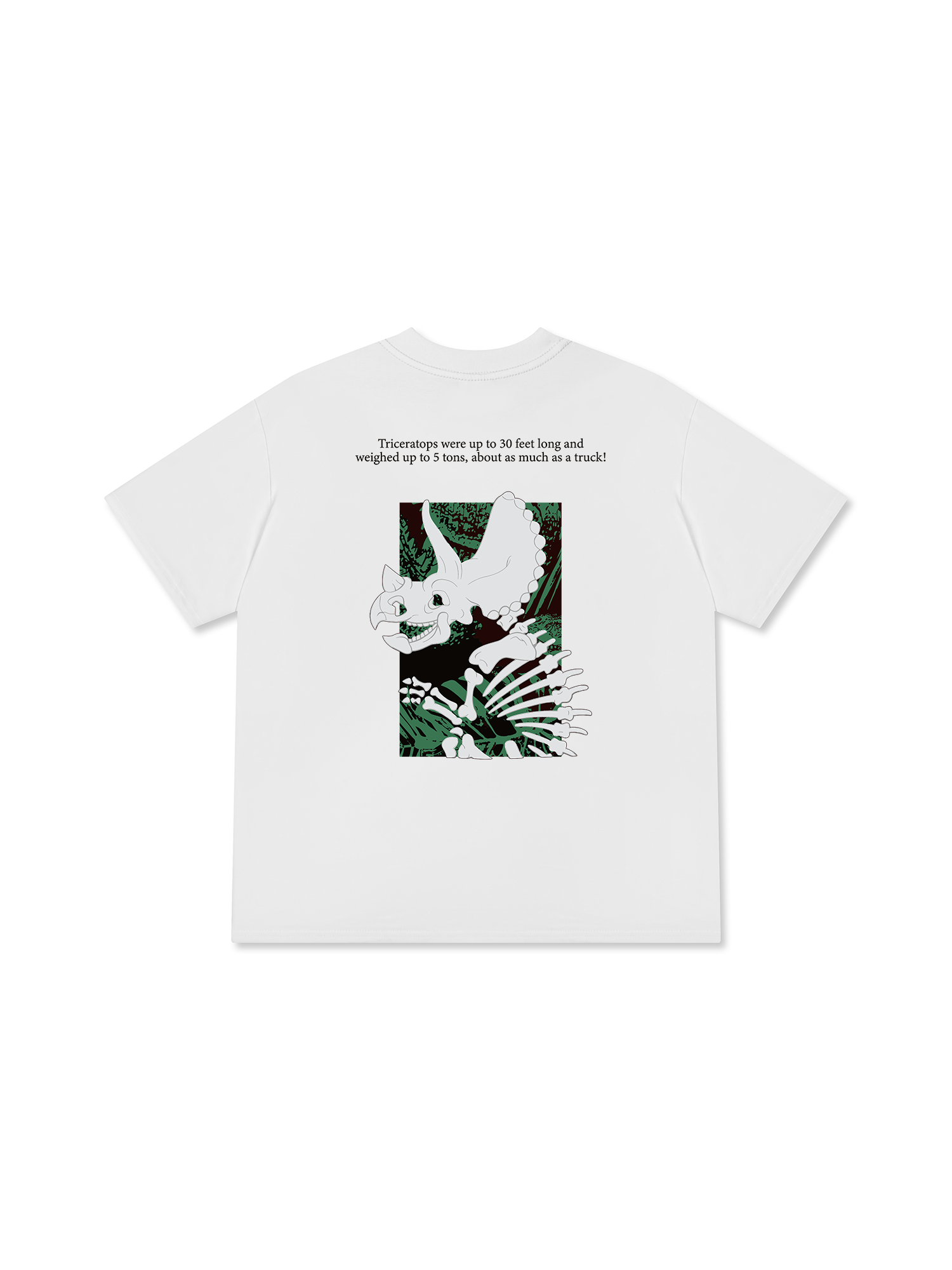 Áo Thun Relaxed Fit Triceratops