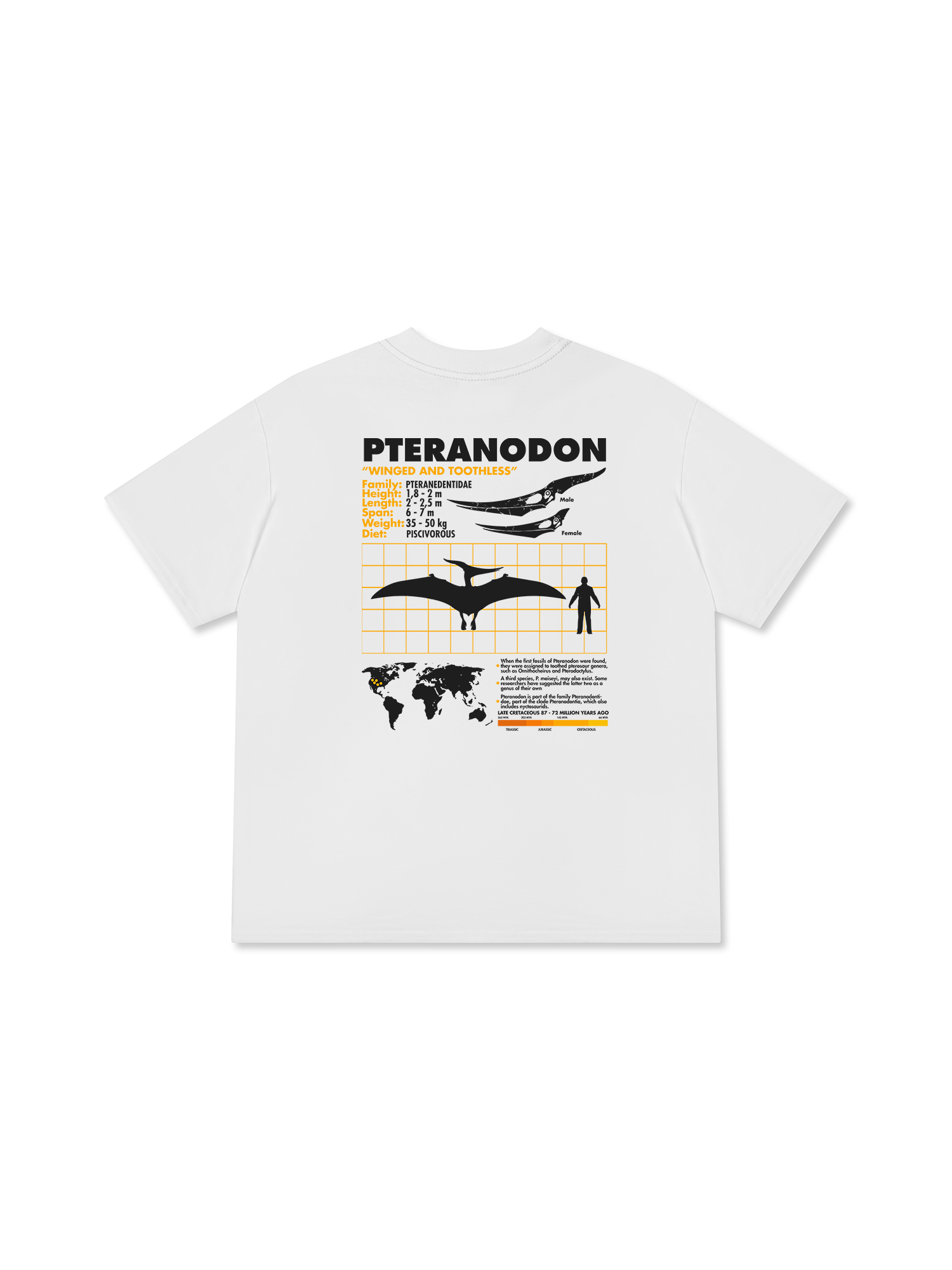 Áo Thun Relaxed Fit Analysis Table Pteranodon