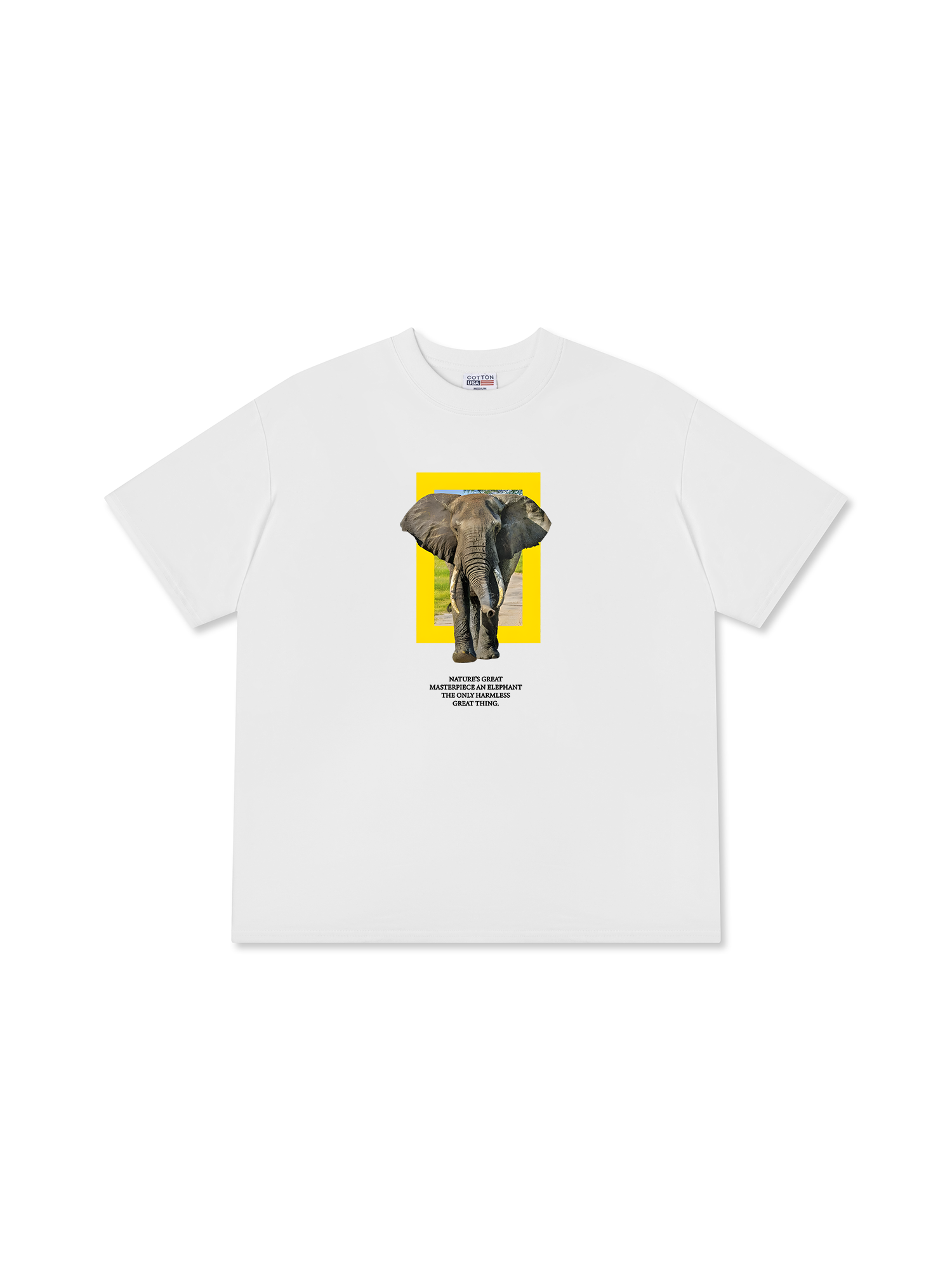 Áo Thun Relaxed Fit Wild Life Nature's Great