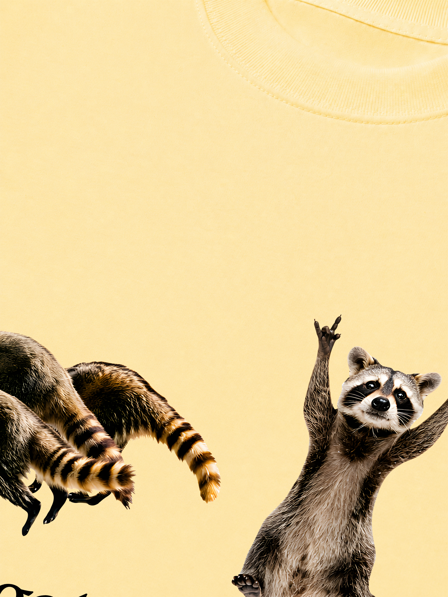 Áo Thun Relaxed Fit I Just Gotta Be Me Raccoon