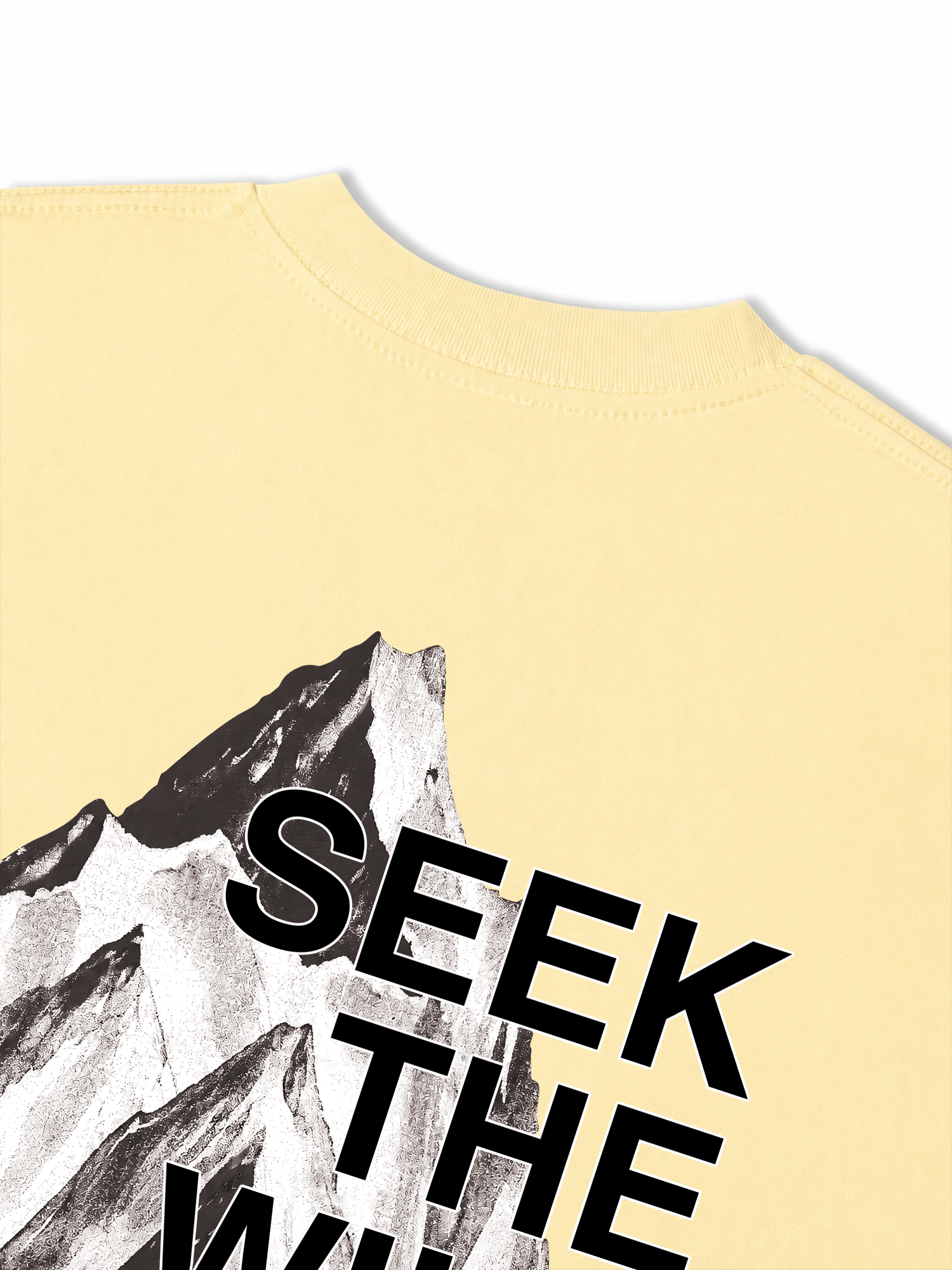 Áo Thun Relaxed Fit Adventure Seek The Wild 3