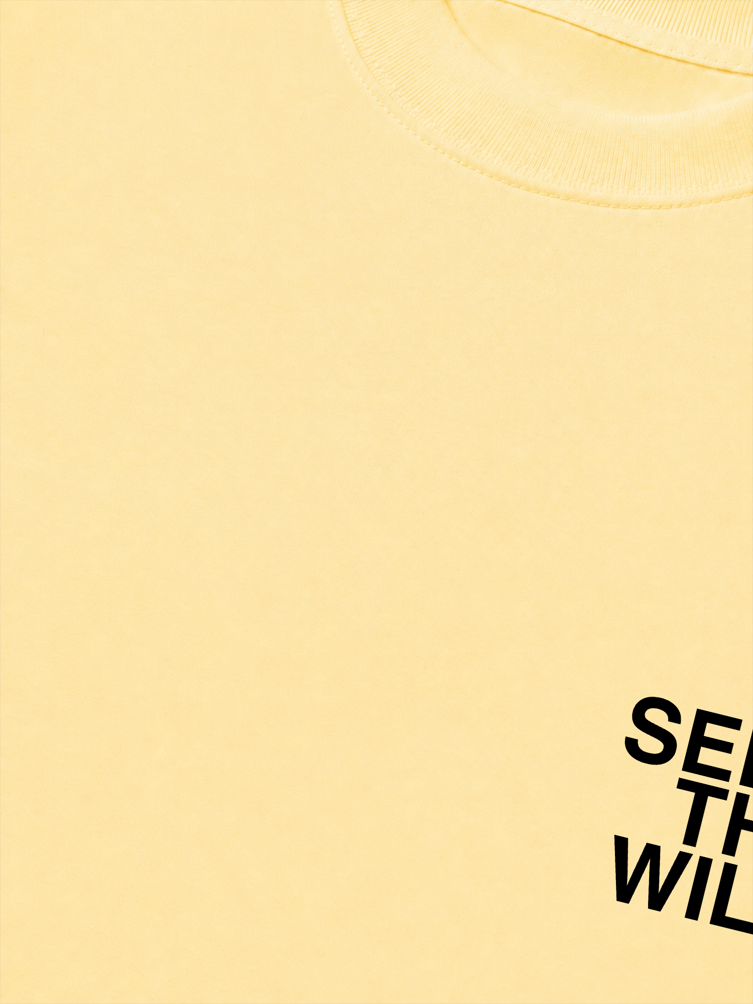 Áo Thun Relaxed Fit Adventure Seek The Wild Never Stop Exploring 6