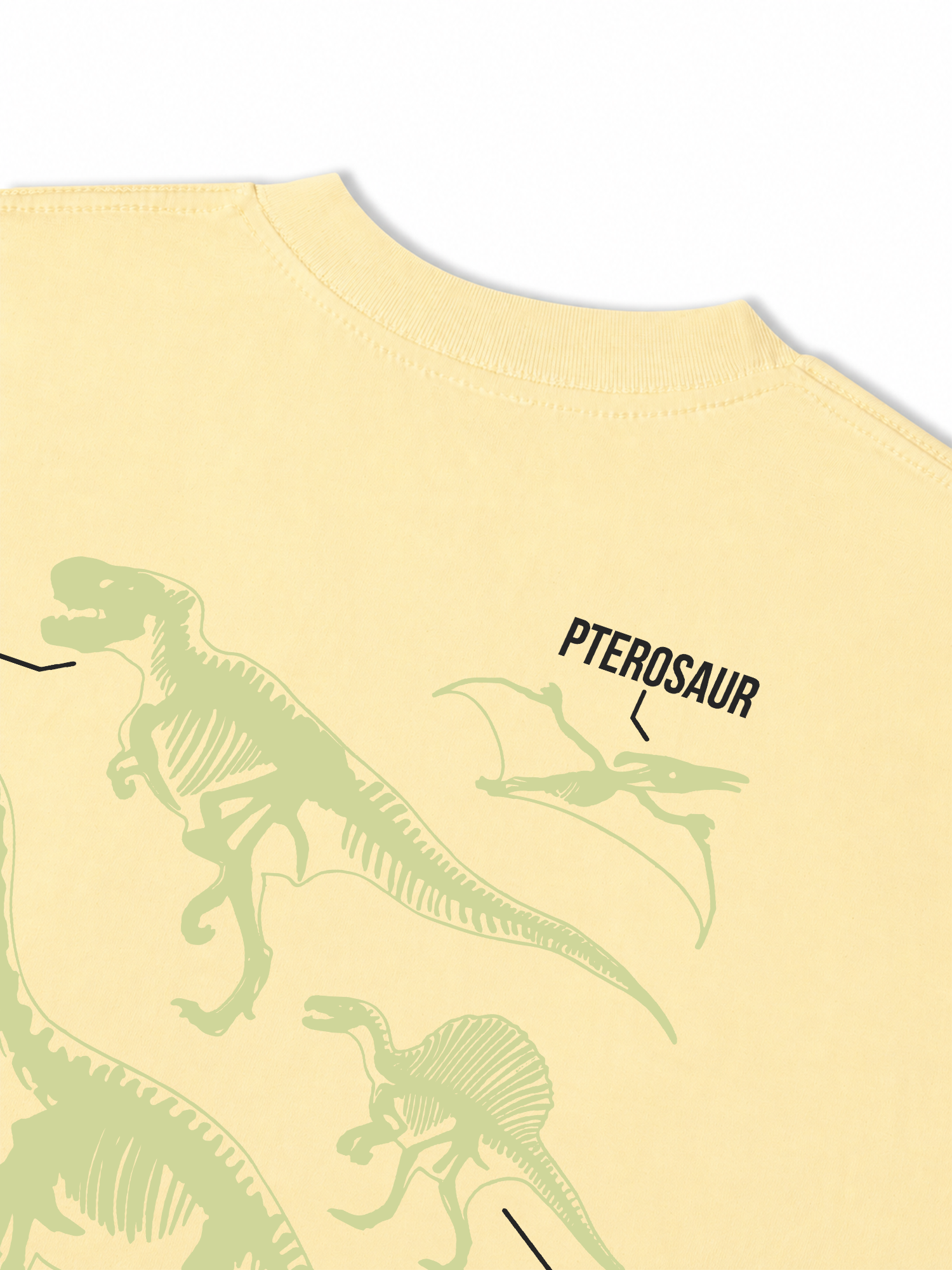 Áo Thun Relaxed Fit World Of Dino