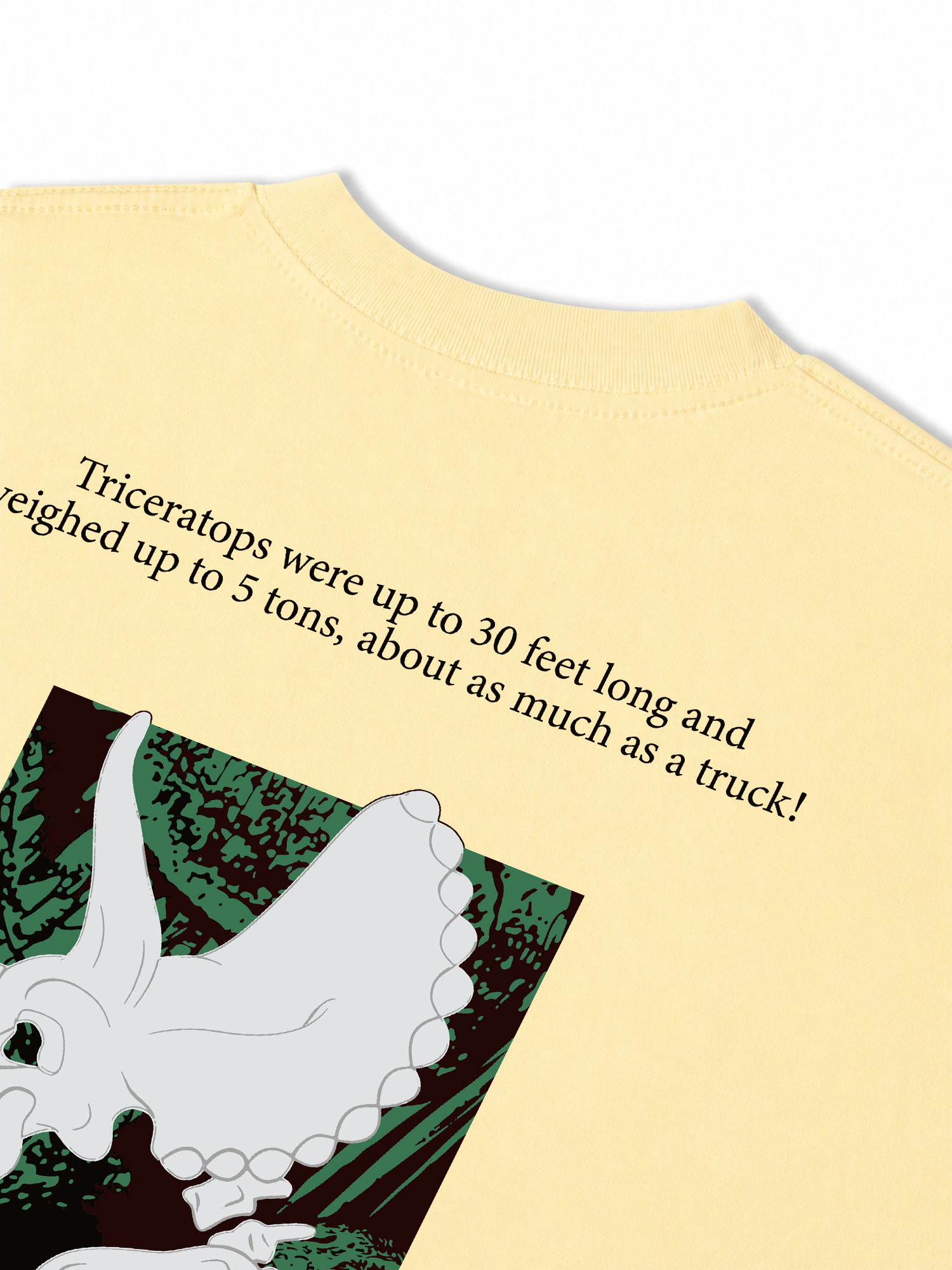 Áo Thun Relaxed Fit Triceratops