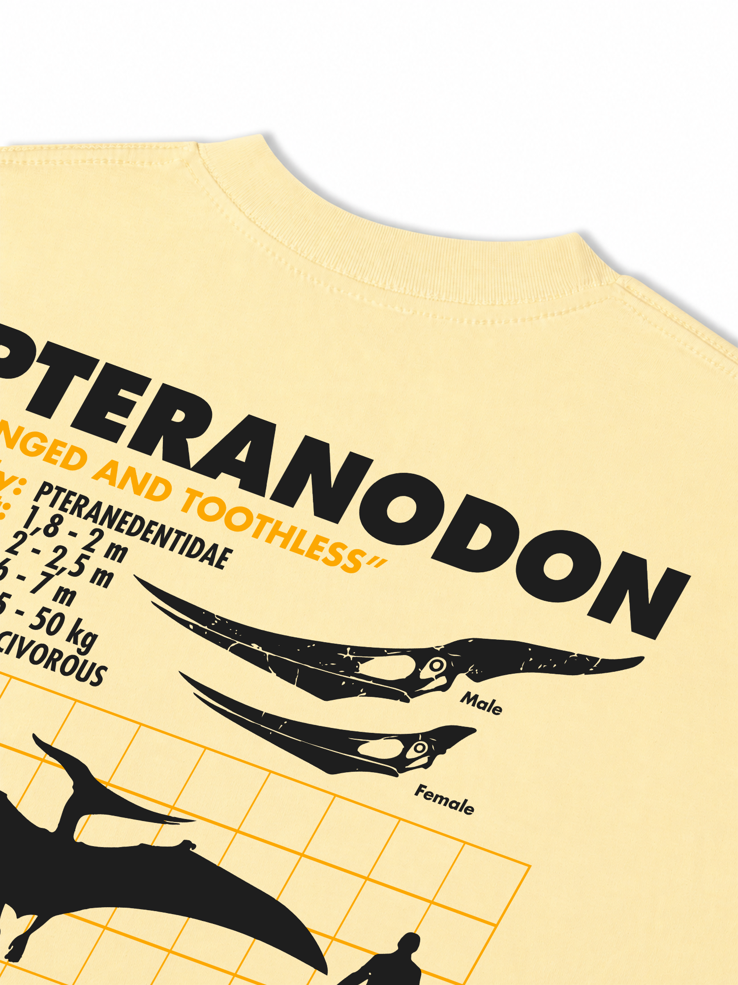 Áo Thun Relaxed Fit Analysis Table Pteranodon