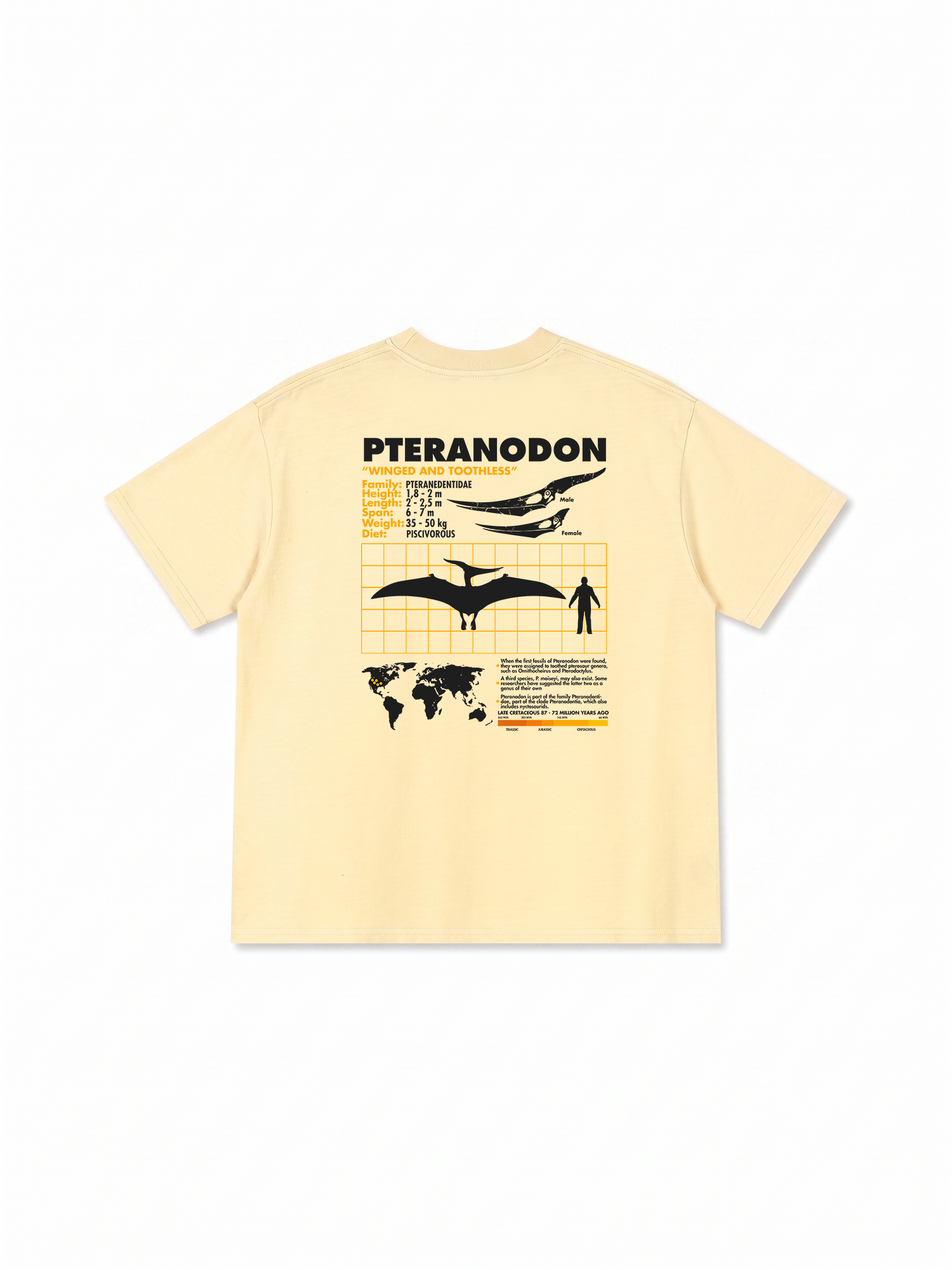 Áo Thun Relaxed Fit Analysis Table Pteranodon