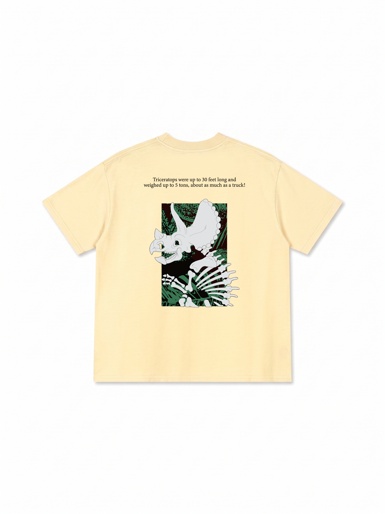 Áo Thun Relaxed Fit Triceratops