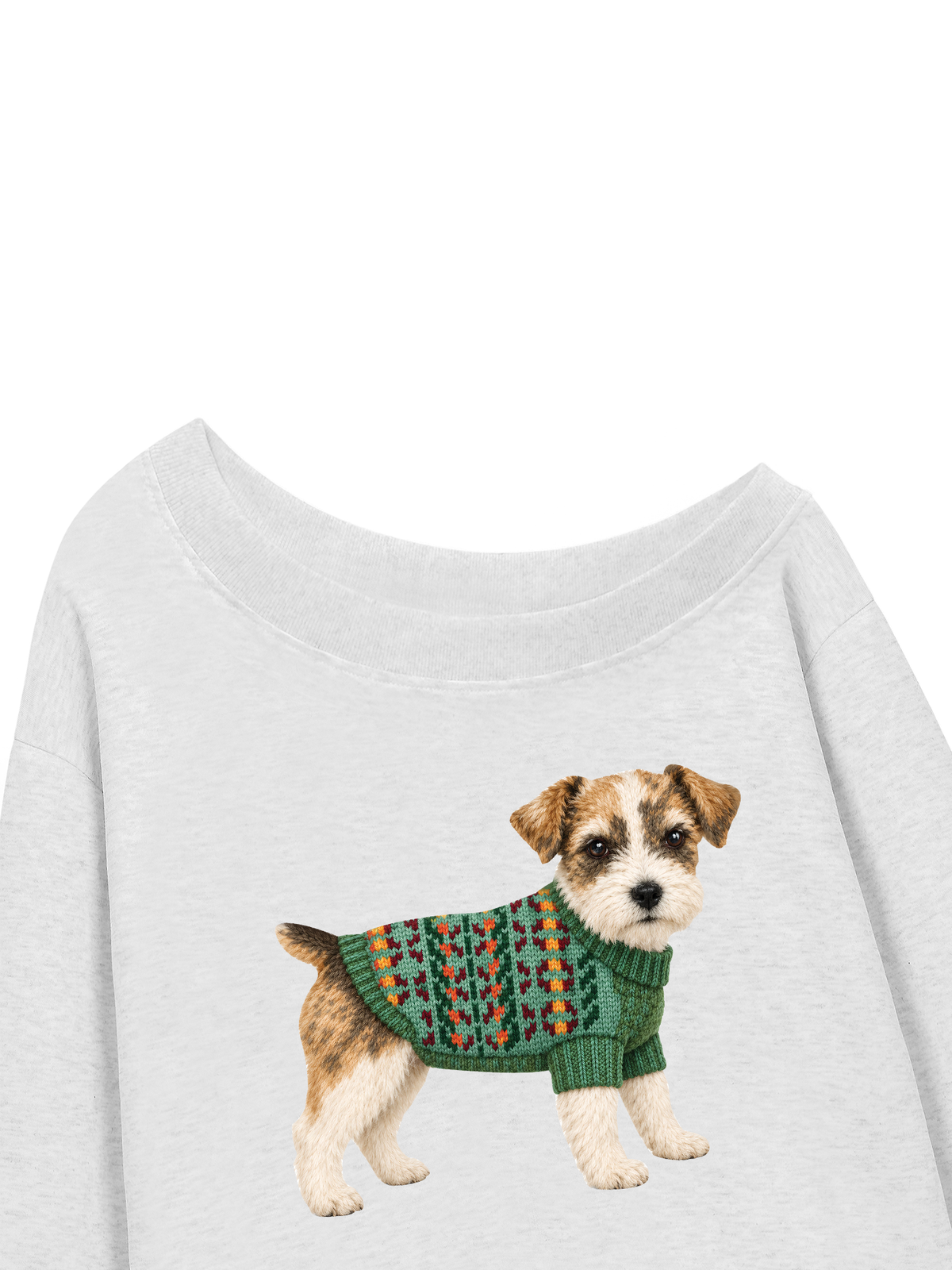 Áo Sweater Lệch Vai Nỉ Hai Da Little Buddy